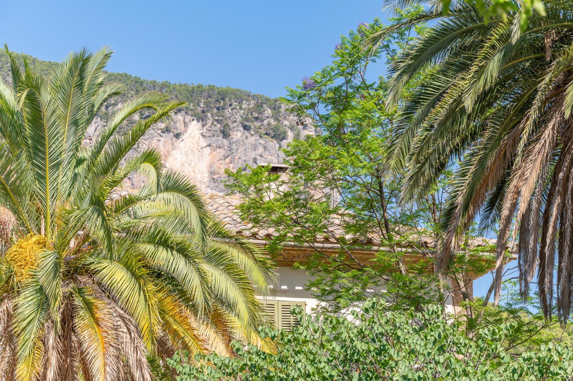 Agroturismo Filicumis By Mhr Льосета Экстерьер фото